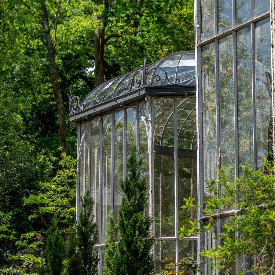 Chateau Des Orchidees En Val De Loire Saumur Kültér fotó