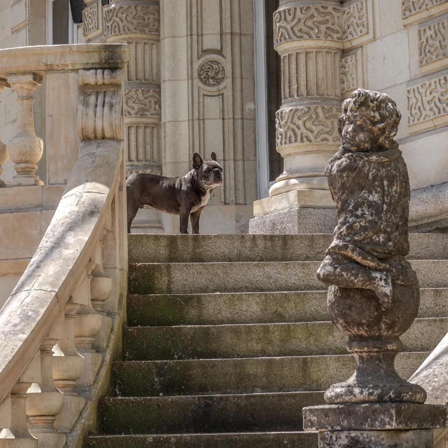 Chateau Des Orchidees En Val De Loire Saumur Kültér fotó