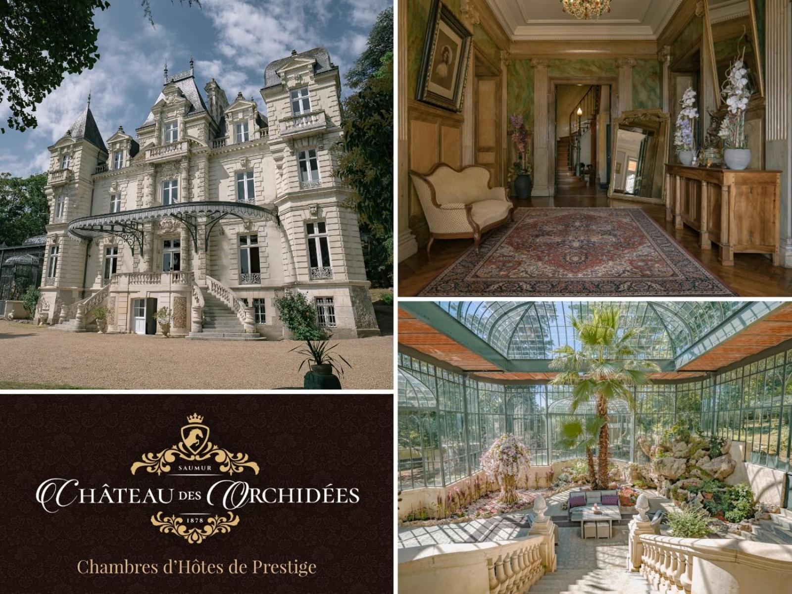 Chateau Des Orchidees En Val De Loire Saumur Kültér fotó
